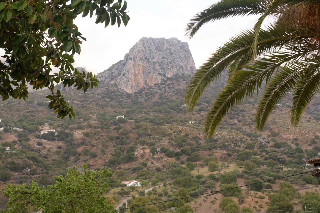 Lagar Del Chorro Junto Caminito Del Rey Piscina Y Baloncesto 아파트 외부 사진